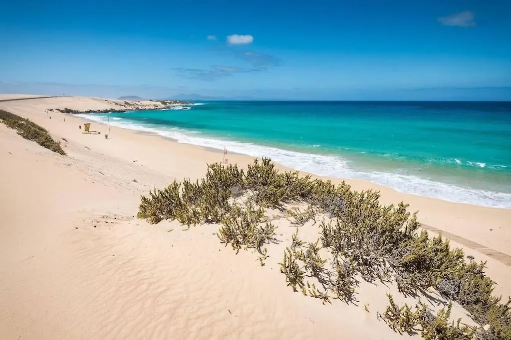 B-Rent Alisios Playa Isla Bonita Apartment Corralejo